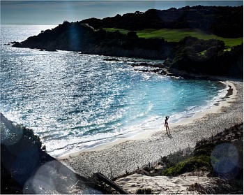 Work:&nbsp;David Drebin Alone In Paradise