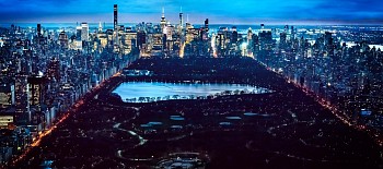 David Drebin -&nbsp;David Drebin Diamond Dusk