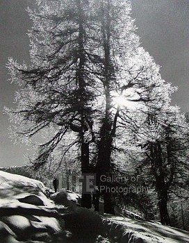 Alfred Eisenstaedt -&nbsp;Alfred Eisenstaedt Morning Sun in St. Moritz, Switzerland