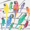Hunt Slonem, Parrots Play
2025, Original Oil on Canvas