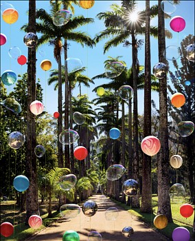 Work:&nbsp;Fl&aacute;via Junqueira Jardim Botanico do Rio de Janeiro 3