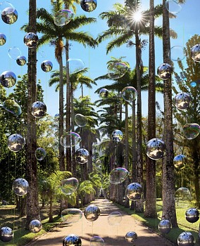 Work:&nbsp;Fl&aacute;via Junqueira Jardim Botanico 4