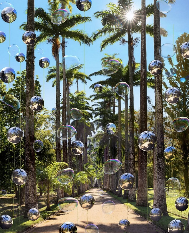 Flávia Junqueira, Jardim Botanico 4, 2021
Archival Pigment Print on Cotton Paper, 36 x 30 in.
